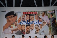 Akasamlo Sagam Movie Audio Launch